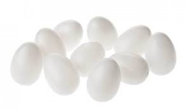 Kunststoff-Eier / Plastik-Eier  (ohne Hals) weiss